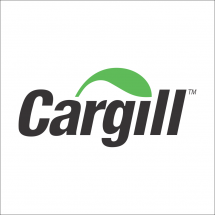 Elementos Finitos Cargill